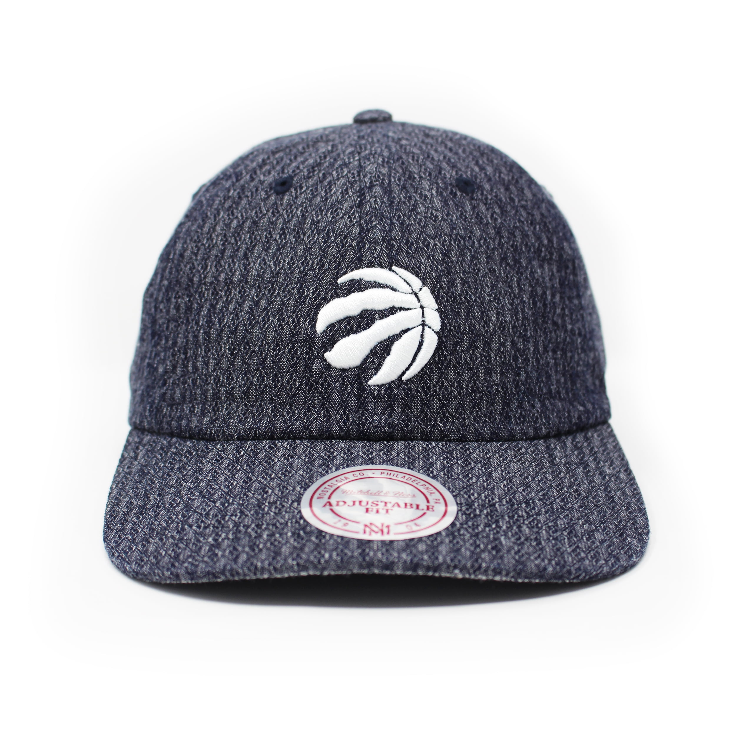 raptors dad hat