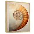thumbnail image 2 of Designart "Curves Of Copper In Nautilus Spiral" Nautilus Floater Framed Canvas Wall Art, 2 of 5