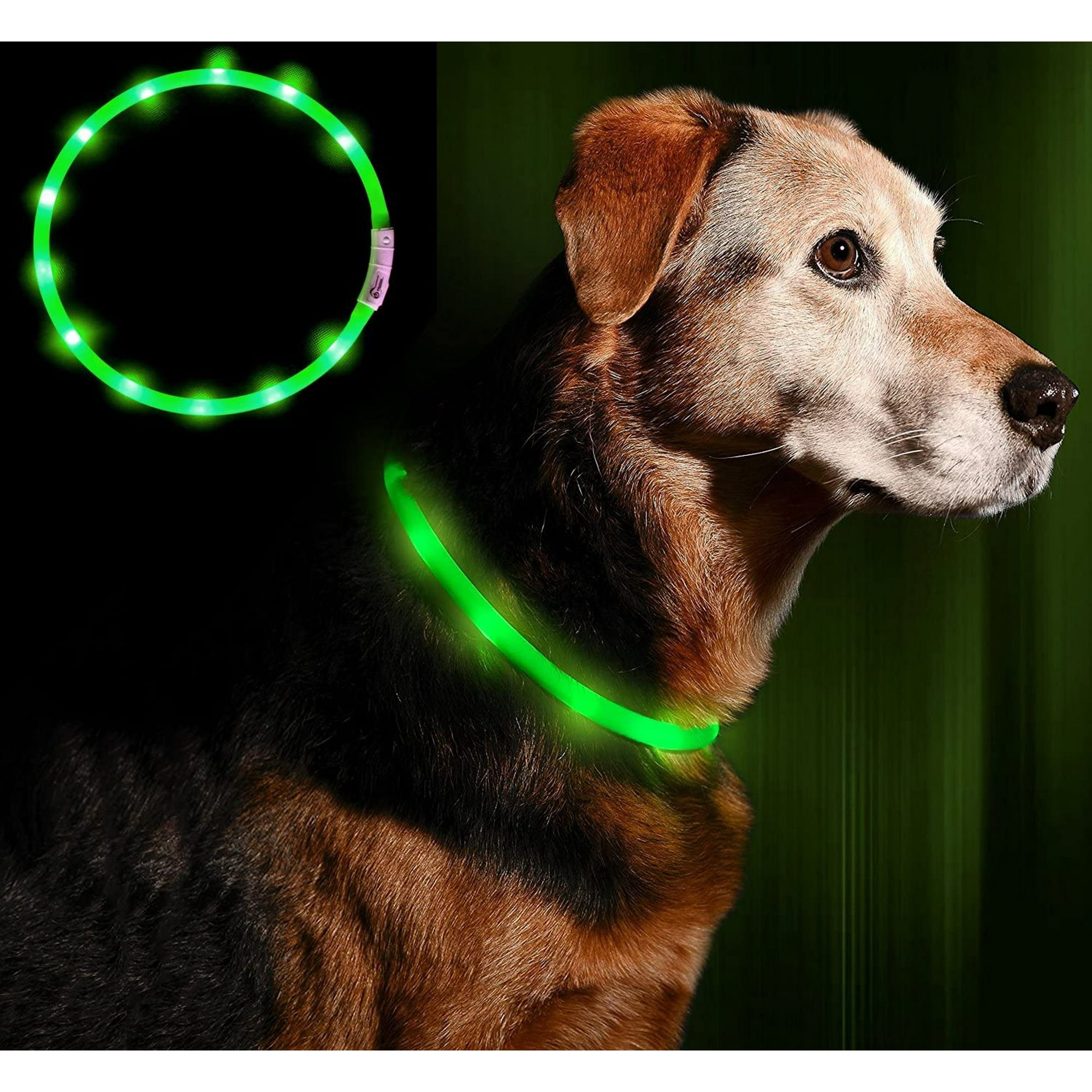 Bamaia Led Dog Collar