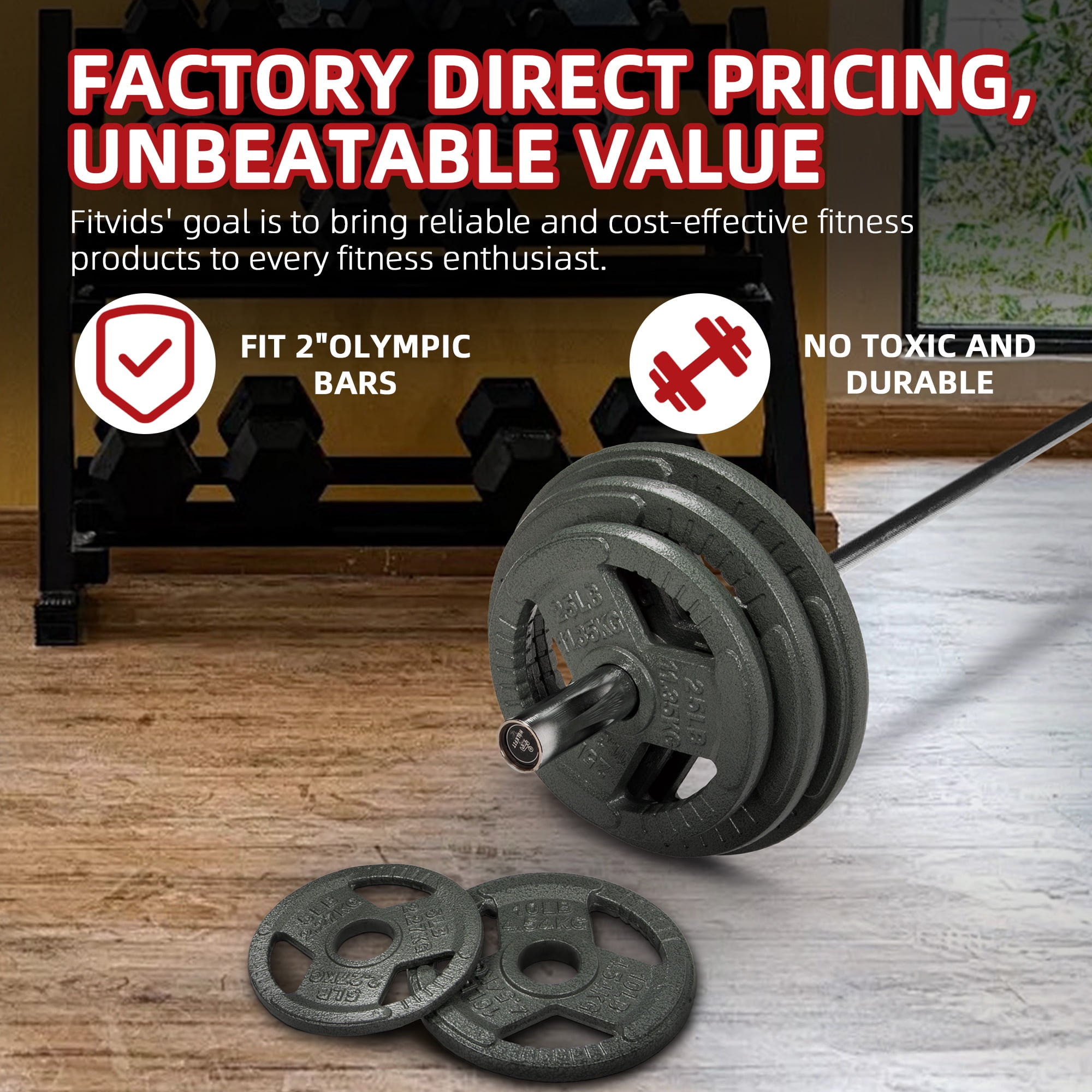 FlexWave 2" Olympic Cast Iron Weight Plates, 2.5-45 lb Set, Rust-Proof Enamel Coating & Tri-Grip Handles, Home & Commercial Gym