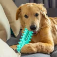 thumbnail image 2 of Dog Chew Toothbrush Stick – Soft Dental Teeth Cleaning Toy for Small, Medium & Large Dogs, 2 of 9