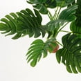 thumbnail image 3 of FOMIYES Adorno De Planta Simulada De Plástico Para Creativa En Acuario, 3 of 6