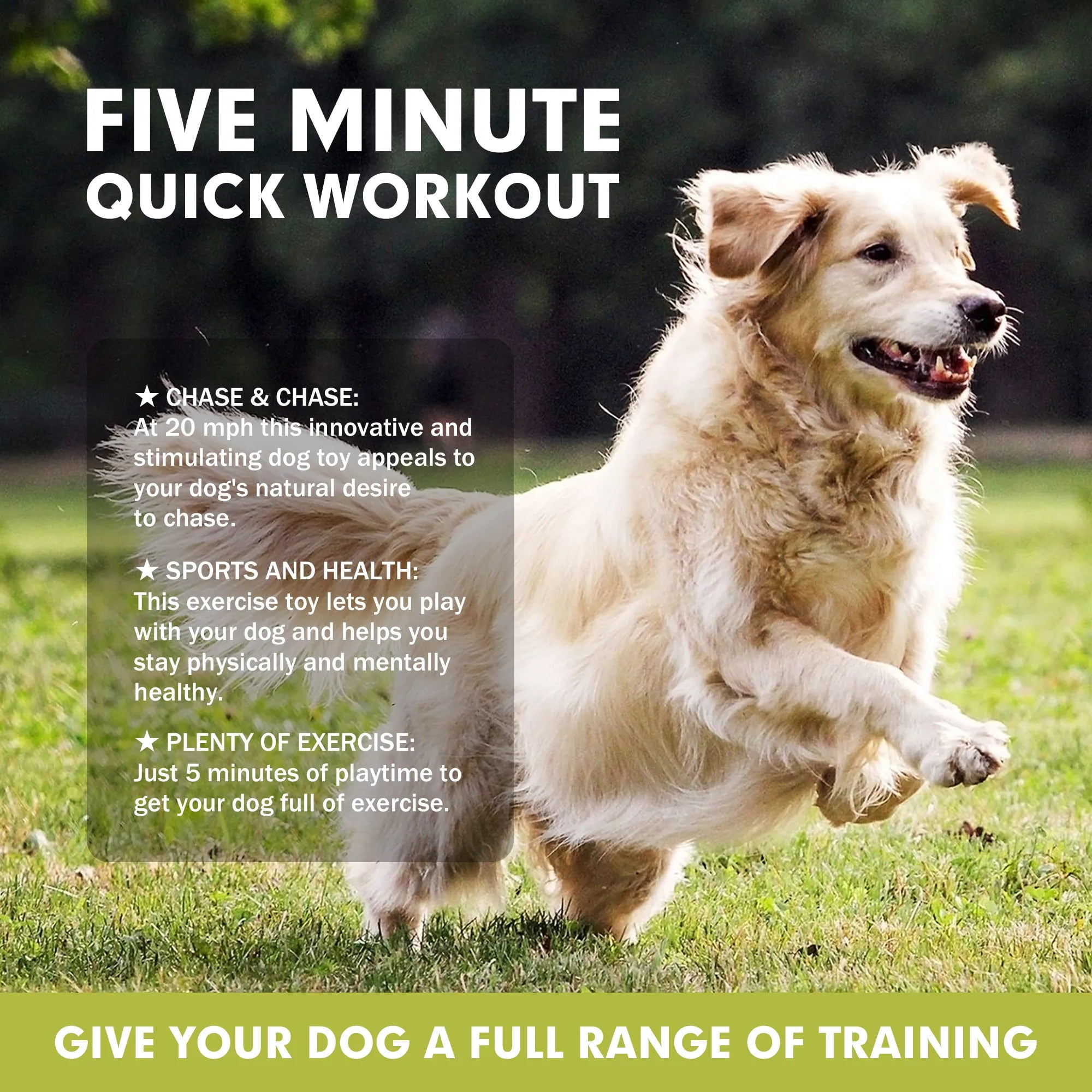 Dog hot sale luring equipment