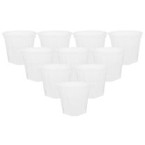 Phalaenopsis Potted Flower Flower Pots Orchid Pot Plant Pots Clear Plant Pots Nursery Small Clay Pot