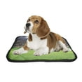 thumbnail image 2 of PKQWTM Green Soccer Stadium Illuminated Field Arena In Night Pet Dog Cat Bed Pee Pads Mat Cushion Potty Dogs Blankets Crate Bed Kennel 20x24 inch, 2 of 3