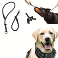 thumbnail image 2 of QJUHUNG Adjustable Dog Training Leash With Slip Collar And Choke Loop  Durable Nylon Rope For Outdoor Walking  Suitable For All Dog Breeds ZZZ, 2 of 6
