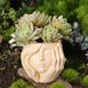 thumbnail image 1 of Maceta de resina con forma de cara de niña, maceta decorativa, regalo, decoración del hogar, contenedor de plantas para patio de estar., 1 of 8