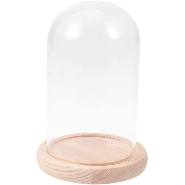 Glass Display Dome Decorative Clear Glass Dome with Wood Base Tabletop