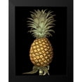thumbnail image 2 of Brookshaw, George 15x18 Black Modern Framed Museum Art Print Titled - Brookshaw Exotic Pineapple I, 2 of 5