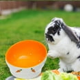 thumbnail image 1 of Baohd Non Slip Rabbit Feeder Bowl Feeding Basin for Hedgehog Gerbils Puppy Kitten 8.5cmx6.5cm, 1 of 9