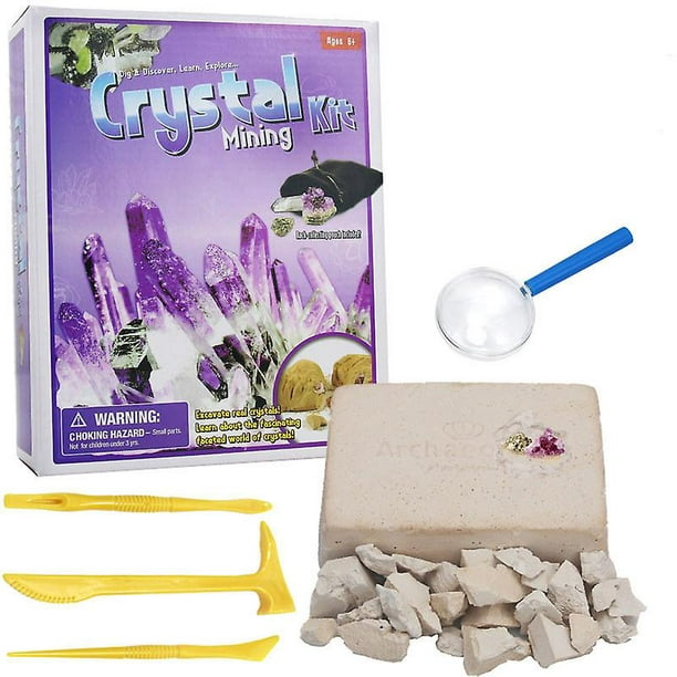 Kit d'extraction de cristaux pour enfants - Science de la géologie à faire  soi-même creuser des pierres précieuses 