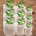 thumbnail image 3 of 100/500PCS Biodegradable Grow Bags Plant Grow Nursery Bag Non-woven Fabric Seeds Pockets Plant Cultivation Pouches Garden Tools, 3 of 9