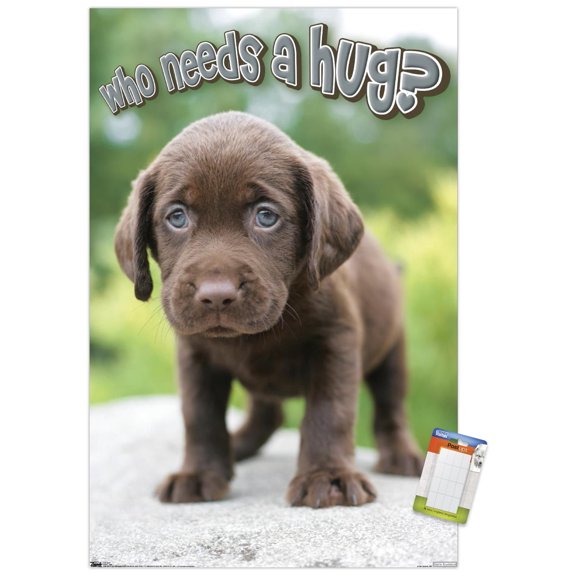 Keith Kimberlin - Puppy - Who Needs a Hug? Wall Poster, 14.725" x 22.375"