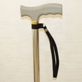 thumbnail image 3 of Bastones de Senderismo Sunnimix Bastón negro 6 Piezas Cuerdas Muleta Taburete Silla Correas, 3 of 8