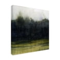 thumbnail image 2 of Grace Popp 'Mossy Treeline I' Canvas Art, 2 of 4