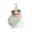 White, variant on Cute Plush Doll Keychain, Furry Toy Pendant Suitable for Backpack Car Key Decoration, Gift Packaging Presentation