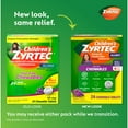 thumbnail image 4 of Children's Zyrtec 24 Hr 10 mg Allergy Chews for Ages 6+, Grape, 24 Count, 4 of 11