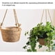 thumbnail image 4 of Maceta Colgante De Cuerda De Yute - Cesta De Macramé De Hierba Marina Plegable - Para Plantas Suculentas, Decoración Interior Al Aire Libre. Afortunado Sencillez, 4 of 5
