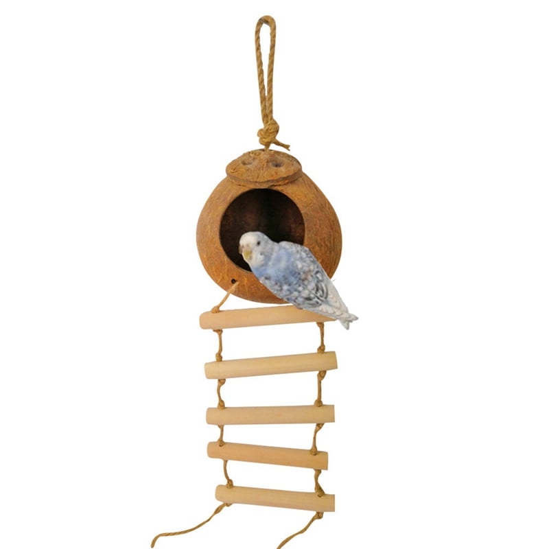 walmart pet bird supplies