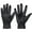 Black, variant on BadPiggies Women's Touchscreen Texting Leather Gloves with Fleece Lining Winter Warm Driving Gloves (Black)