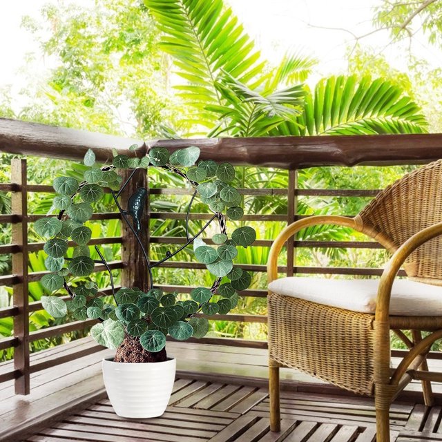 Iron Vegetables Plant Trellis,Vine Climbing Rack Iron Plant Support Frame Vine Climbing Rack Tried and Trusted