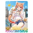 thumbnail image 1 of Goddess Story Girl Party Bgr juego completo de tarjetas, Tamamo No Mine Rem, personajes de Anime, colección de bronce, tarjeta Flash, juguetes, regalo Fivean unisex, 1 of 2