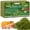 2.2LB, variant on ZeeDix 8OZ Premium Sphagnum Moss for Reptile, 12QT Green Natural Live Moss Reptile Moss Bedding for Terrarium Plants, Long Fiber Reptile Moss for Leopards, Geckos, Snakes, Turtles, Frogs