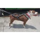 thumbnail image 4 of Arnés De Mushing/canicross Para Perros, 4 of 6