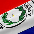 thumbnail image 5 of Manfei Paraguay Flag Kitchen Curtains,World Patriot Black Out Curtains Pack of 2 (42x63 Each),Red White Blue, 5 of 7