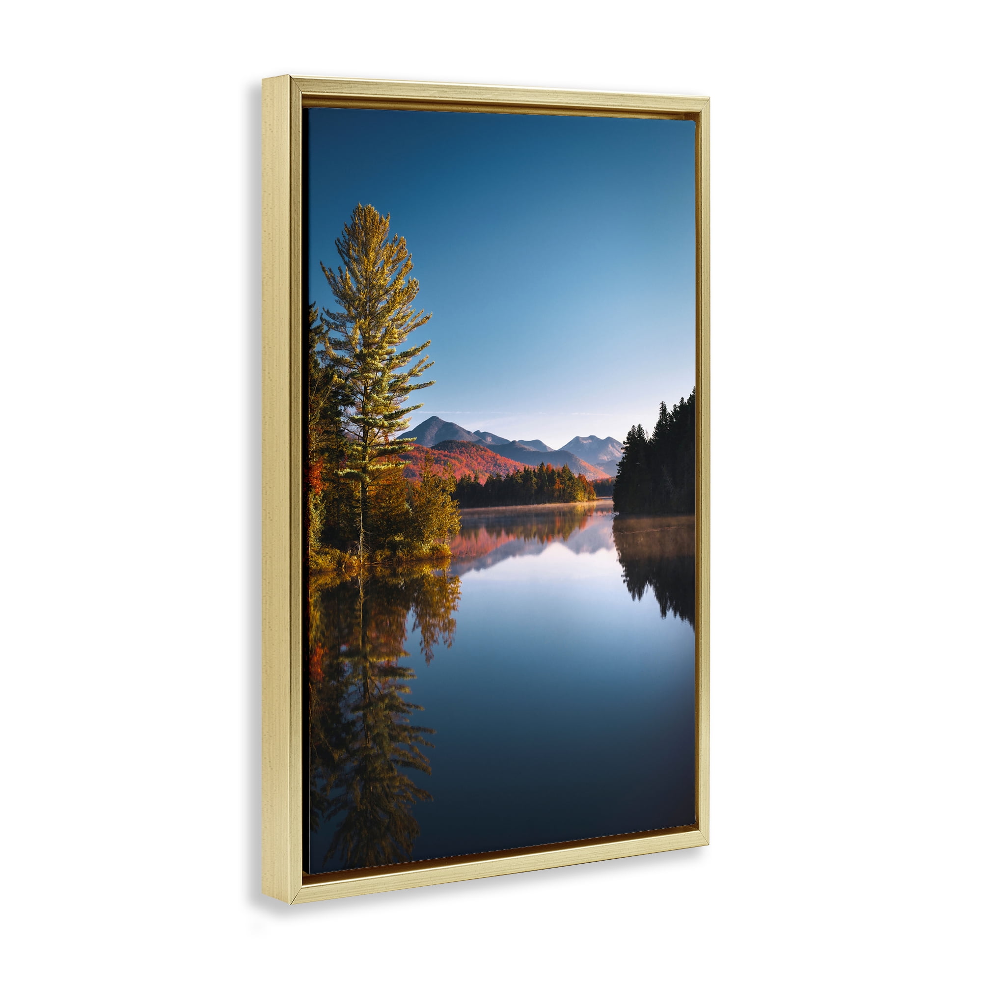 Stupell Industries Autumn Morning Wilderness Gold Framed Floater Canvas Wall Art, design by Jonathan Zaharek
