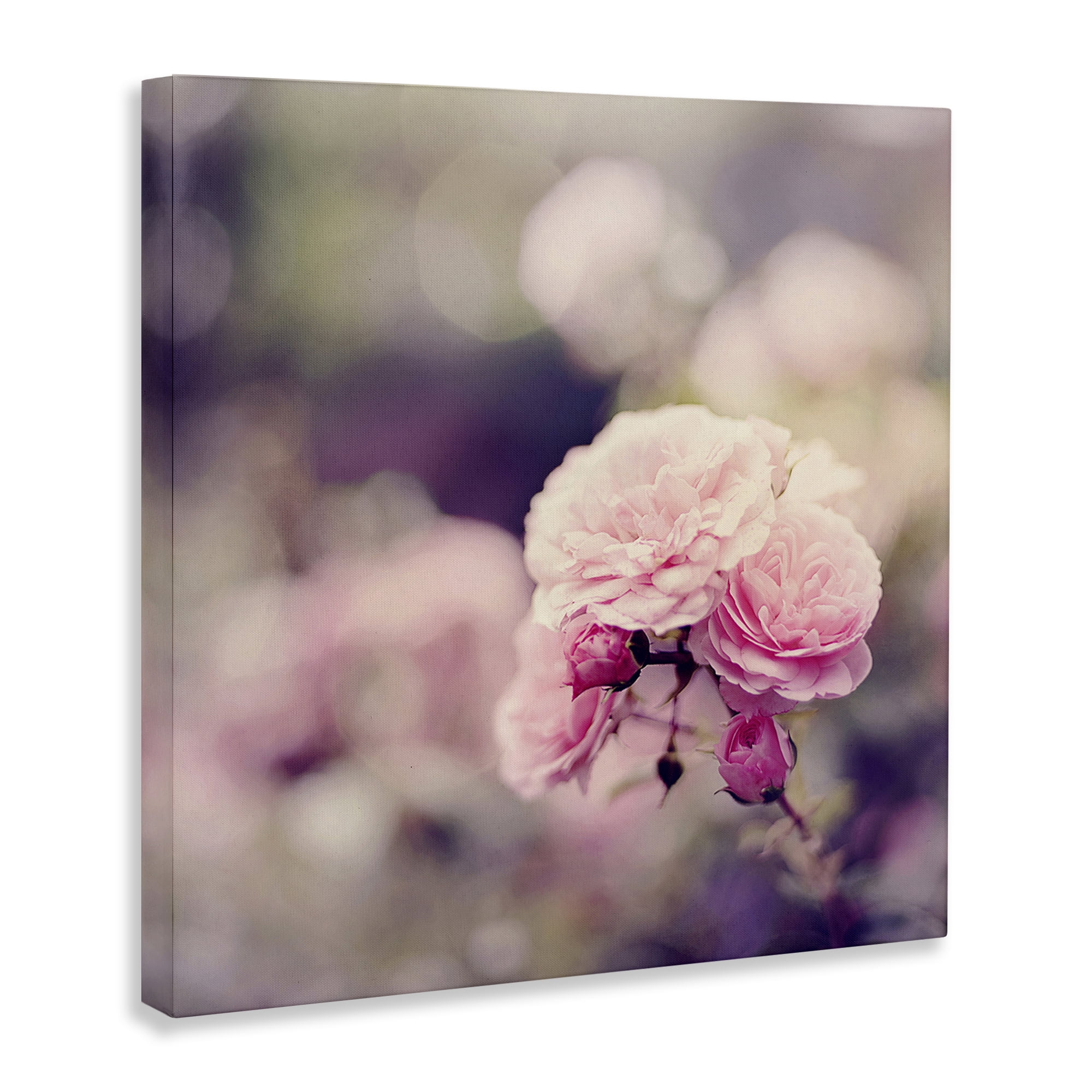 Stupell Industries Pink Garden Ranunculus Plants & Flowers Photography Wrapped Canvas Art Print Wall Art, 17 x 17