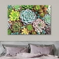 thumbnail image 3 of IDEA4WALL Canvas Wall Art Bouquet of Red, Blue, Pink, Green and Yellow Small Echeveria Cactus Botanical Succulent Digital Art Realism Farmhouse/Country for Living Room, Bedroom, Office - 16"x24", 3 of 5