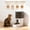 Transparent black, variant on 4L Programmable Pet Feeder for Cats & Dogs – Up to 6 Meals Daily, Timed Portion Control, Dual Power Supply, Dampness-Proof Storage, Stainless Steel Bowl
