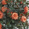 thumbnail image 4 of GLAMOUR BOUTIQUE 16-Piece Forever Flowers Heart Shape Box - Preserved Roses, Immortal Roses That Last A Year - Eternal Rose Preserved Flowers for Delivery Prime Mothers Day & Valentines Day - Orange, 4 of 9