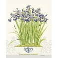 thumbnail image 2 of Gladding, Pamela 20x24 Gold Ornate Wood Framed with Double Matting Museum Art Print Titled - Imperial Irises, 2 of 4