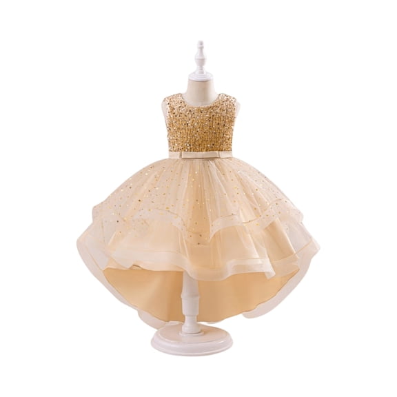 Flower Big Girl's Dress Princess Maxi Dresses Bridesmaid Wedding Birthday Party Pageant Prom Gown for Kids