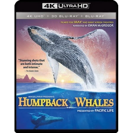 IMAX: Humpback Whales (4K Ultra HD)