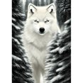 thumbnail image 1 of Diamond Painting 5D DIY Full Round Drill Wolf Kit Decoración del hogar Craft (B5901) Hugtrwg Para estrenar, 1 of 9
