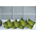 thumbnail image 2 of Ambesonne Nature Throw Pillow Cover 4 Pack, Tropical Foliage Leaf, 24", Fern Green, 2 of 5