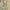 Beige, variant on Unique Loom Estrella Collection Area Rug - Sierra (2' 2" x 6' 9" Runner Beige/Green)