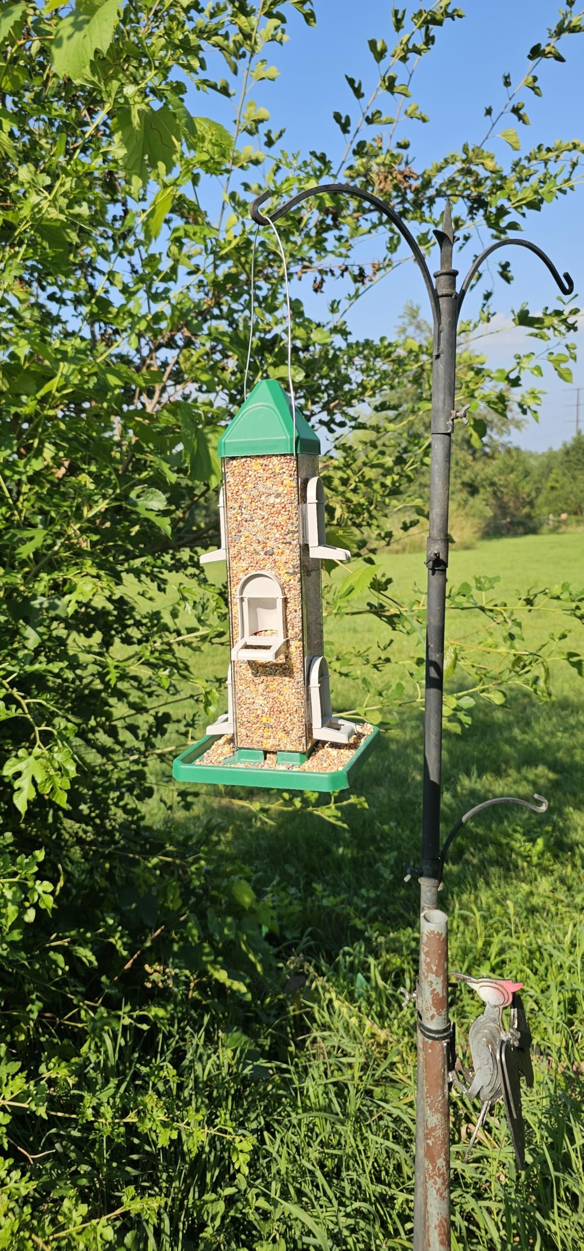 Green Square Tube Bird Feeders with 6 Feeding Ports for Outdoors Hanging, Premium Hard Plastic Weatherproof & Steel Hanger, Attracting for Wild Birds Hunter Green