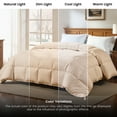 thumbnail image 6 of Lux Decor Collection Twin Comforter - Down Alternative Comforter & Duvet Insert - Single Comforter, Beige, 6 of 10