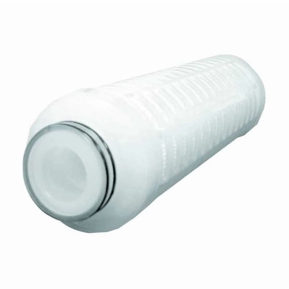Pleated Filter Cartridge, 70 gpm, 0.2 Micron, 2-3/4" O.D., 11 1/8 in H PG-10310-002-1N