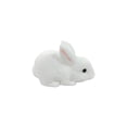 thumbnail image 1 of Easter Bunny Squeeze ,White Bunny Squishy,Jumbo Slow Rising Animal Squeeze Rabbit Toy,Super Soft and Cute Stress Relief Gift,Squishy Rabbit ,Easter Basket Stuffers Bunny, 1 of 7