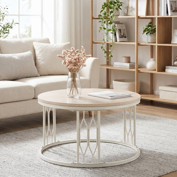 iooHug Round Coffee Table, 27.5-inch Diameter MDF Top with Sturdy Metal Frame, Rustic Industrial Accent Table for Living Room, Easy Assembly