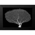 thumbnail image 2 of Murdock, Ramona 18x13 Black Modern Framed Museum Art Print Titled - Fan Coral Drama, 2 of 5