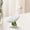 01-7", variant on Win s Way Classic Porch Goose Statue,7/12/14 Inch Weather Resistant White Garden Figurine with Weighted Base for Yard Patio