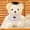 C, variant on GFHFHITJ Graduation Bear,Graduation Bear Doll Hat Bear Doll Plush Toy Graduation Commemorative Gift