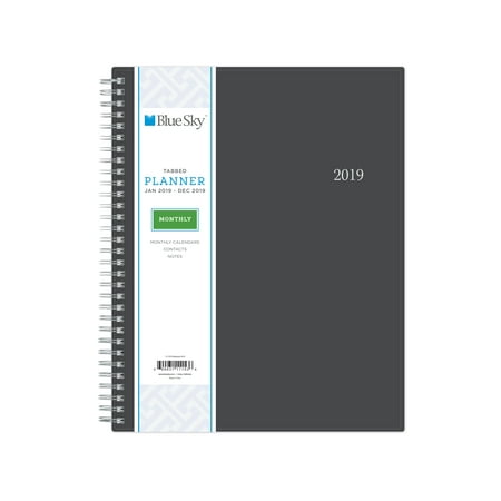 Blue Sky 2019 Monthly Planner, 8" x 10", Enterprise