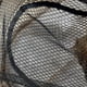 thumbnail image 5 of Red De Aterrizaje De Mano De Pesca Tmvgtek Para Estrenar, 5 of 6